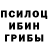 COCAIN Fish Scale Andrey Motardovich