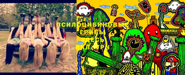 дмт Армянск